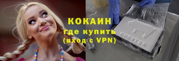 твердый Иннополис