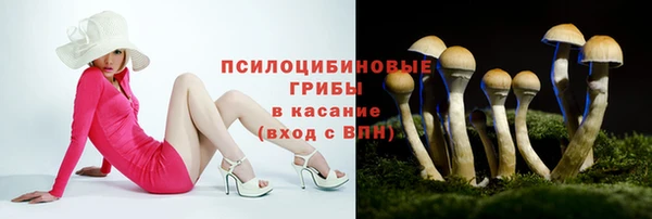 твердый Иннополис