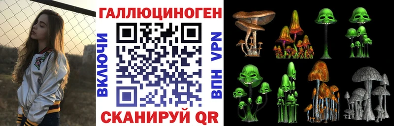 Купить где  Поворино  Галлюциногенные грибы Psilocybine cubensis 